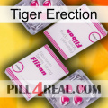 Tiger Erection 33